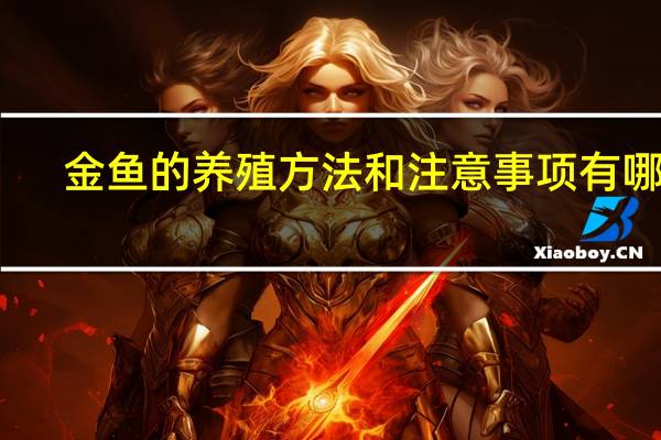 金鱼的养殖方法和注意事项有哪些