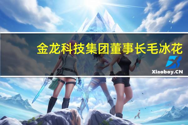 金龙科技集团董事长毛冰花：看好中蒙矿业、能源领域合作前景