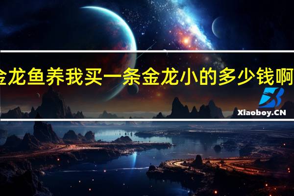 金龙鱼养我买一条金龙小的多少钱啊10厘米