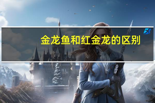 金龙鱼和红金龙的区别