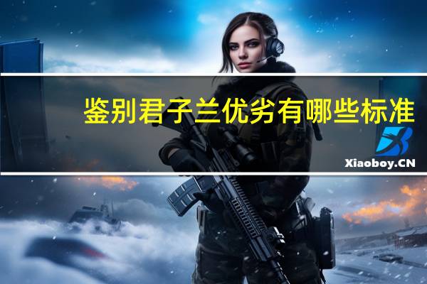 鉴别君子兰优劣有哪些标准