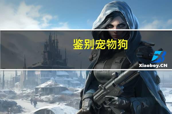 鉴别宠物狗