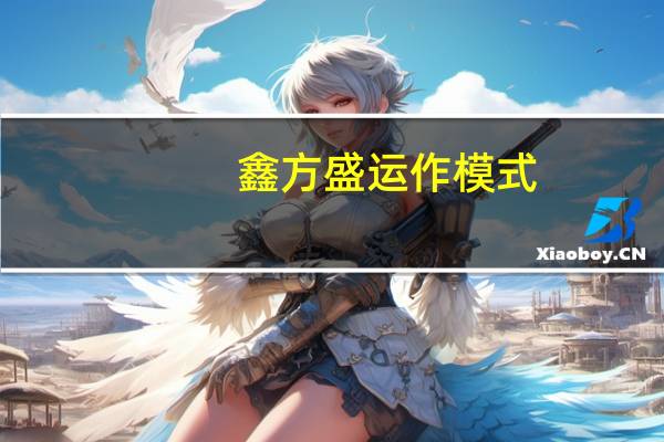 鑫方盛运作模式（鑫方盛crm系统）
