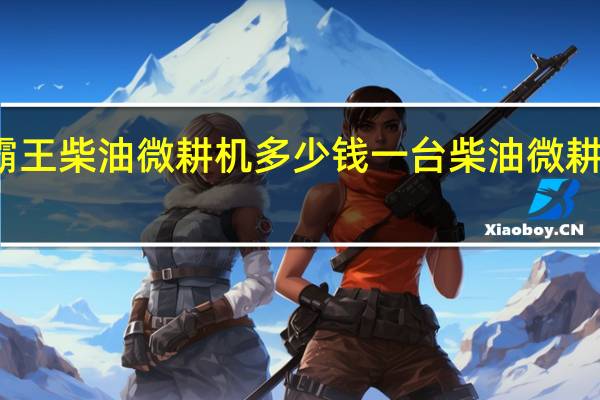 鑫源小霸王柴油微耕机多少钱一台 柴油微耕机多少钱一台