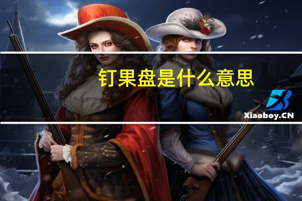 钉果盘是什么意思