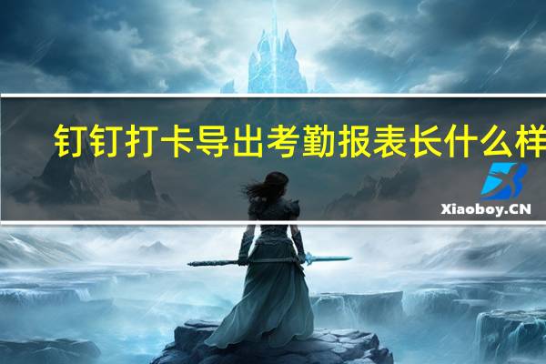 钉钉打卡导出考勤报表长什么样子（钉钉打卡怎么导出考勤）