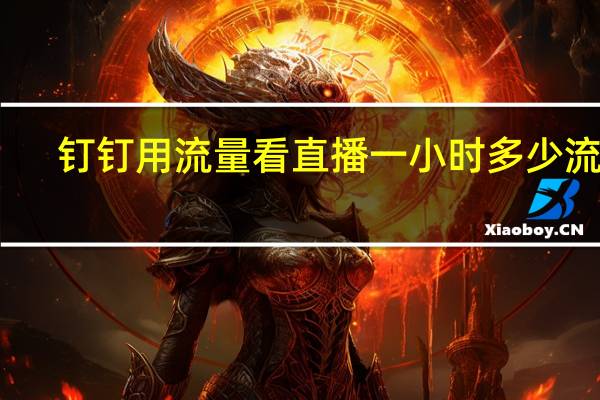 钉钉用流量看直播一小时多少流量（钉钉直播费流量吗）