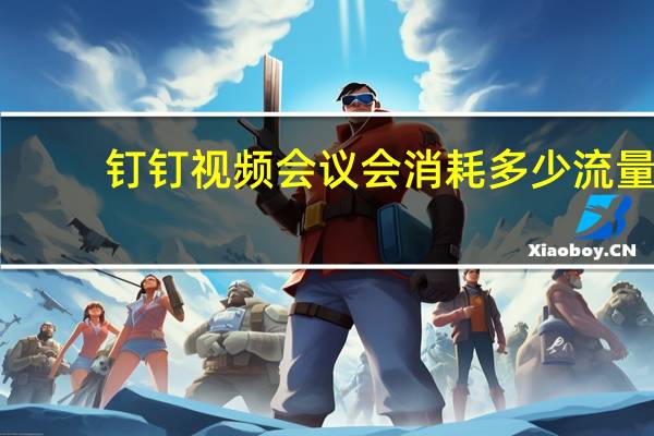 钉钉视频会议会消耗多少流量