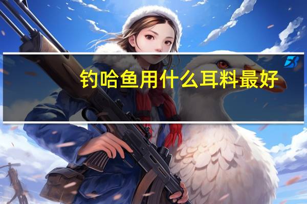 钓哈鱼用什么耳料最好