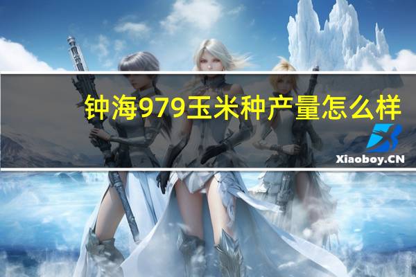 钟海979玉米种产量怎么样
