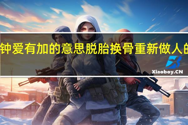 钟爱有加的意思脱胎换骨重新做人的意思（钟爱有加的意思）
