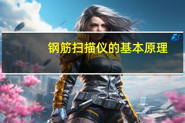 钢筋扫描仪的基本原理（钢筋扫描仪简介）