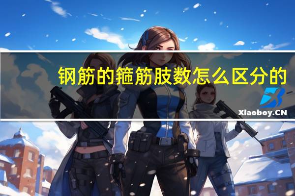 钢筋的箍筋肢数怎么区分的
