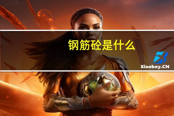 钢筋砼是什么（砼是什么）