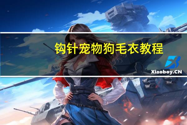 钩针宠物狗毛衣教程