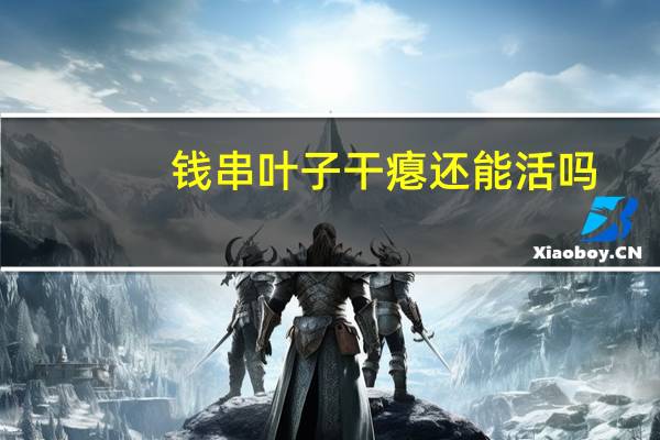 钱串叶子干瘪还能活吗