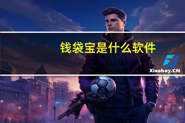 钱袋宝是什么软件（钱袋宝是什么）