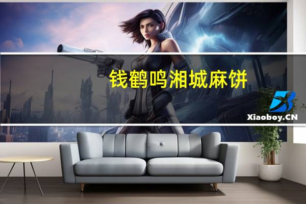 钱鹤鸣 湘城麻饼(松子枣泥)的热量是多少