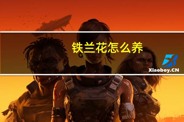 铁兰花怎么养