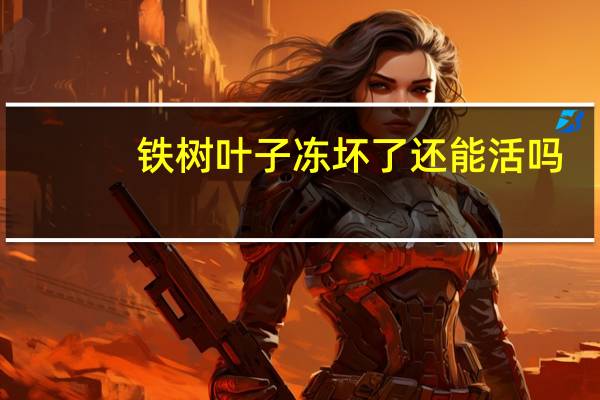 铁树叶子冻坏了还能活吗