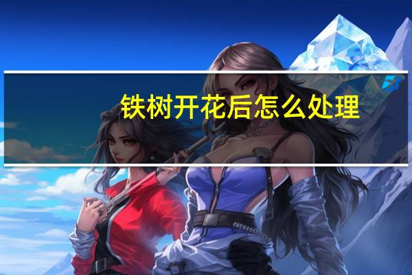 铁树开花后怎么处理