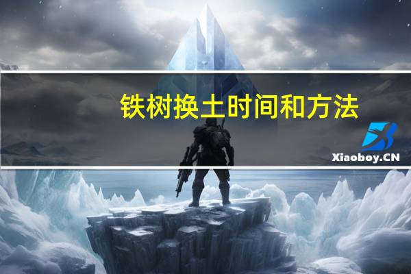 铁树换土时间和方法