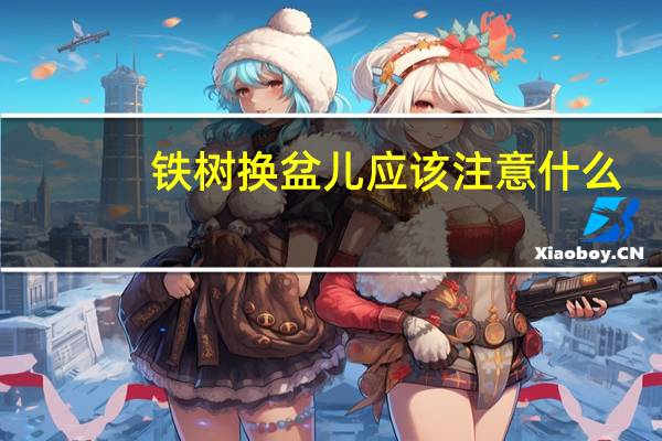 铁树换盆儿应该注意什么?