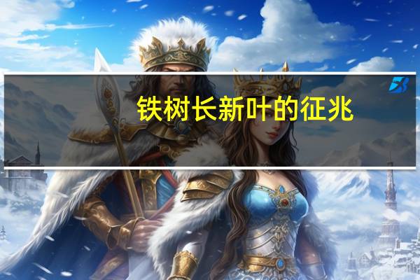 铁树长新叶的征兆