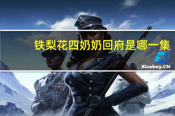 铁梨花四奶奶回府是哪一集