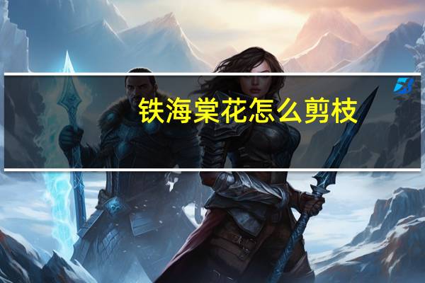 铁海棠花怎么剪枝