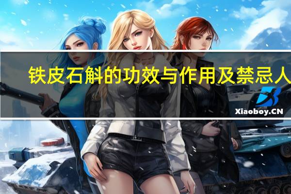 铁皮石斛的功效与作用及禁忌人群(铁皮石斛的功效与作用)
