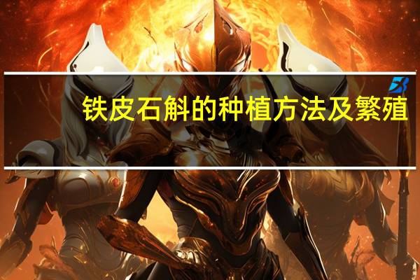 铁皮石斛的种植方法及繁殖
