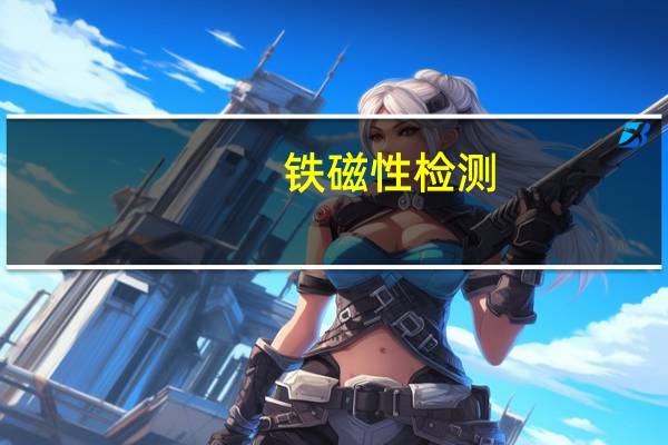 铁磁性检测（铁磁性）