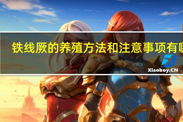 铁线厥的养殖方法和注意事项有哪些