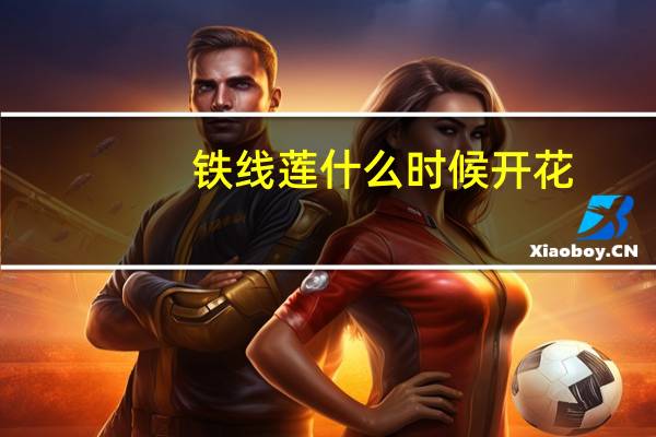 铁线莲什么时候开花
