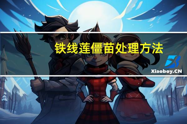 铁线莲僵苗处理方法