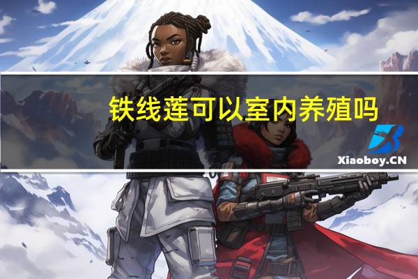 铁线莲可以室内养殖吗