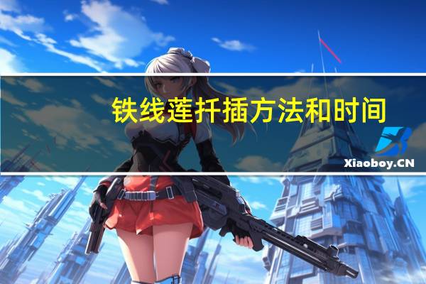 铁线莲扦插方法和时间