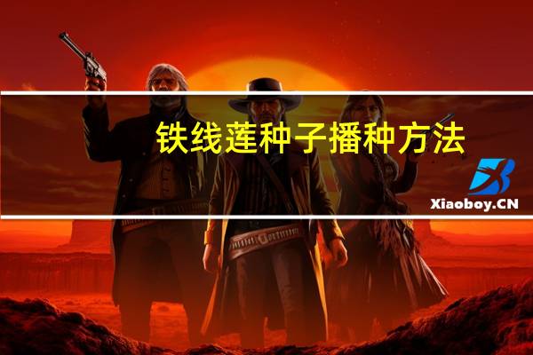 铁线莲种子播种方法