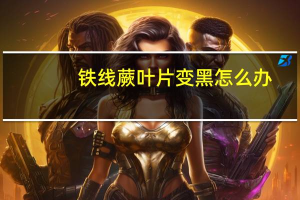 铁线蕨叶片变黑怎么办