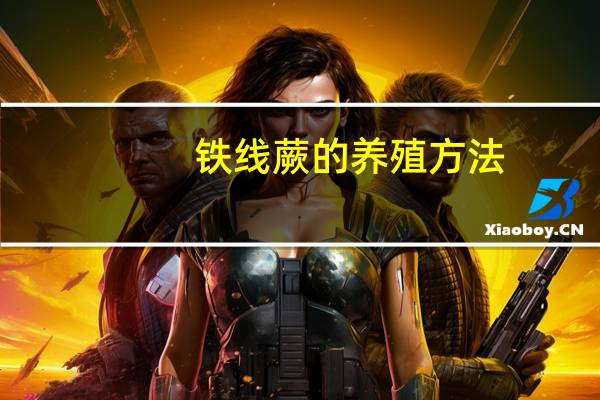铁线蕨的养殖方法:铁线蕨的养殖方法和注意事项