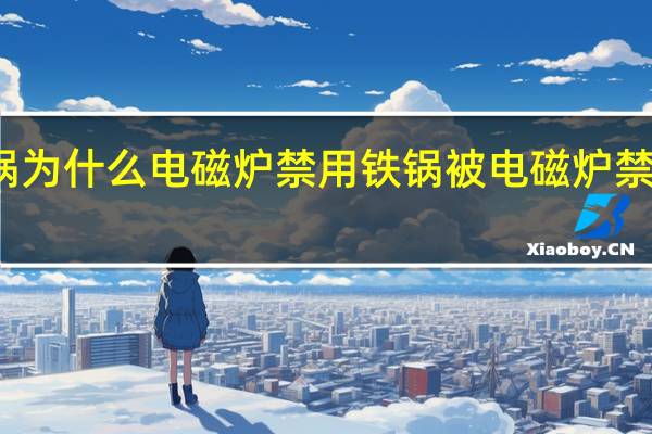 铁锅为什么电磁炉禁用 铁锅被电磁炉禁用的原因