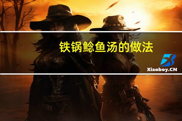 铁锅鲶鱼汤的做法