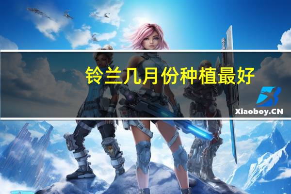 铃兰几月份种植最好