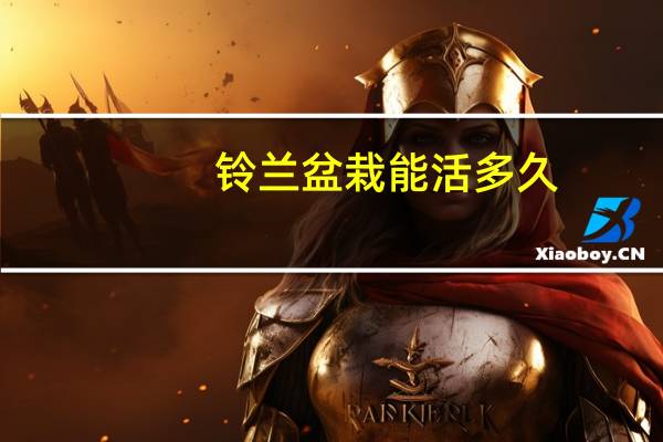 铃兰盆栽能活多久
