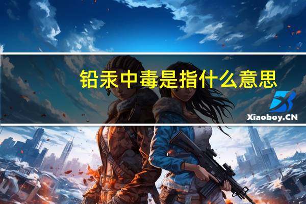 铅汞中毒是指什么意思