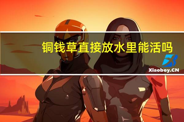 铜钱草直接放水里能活吗