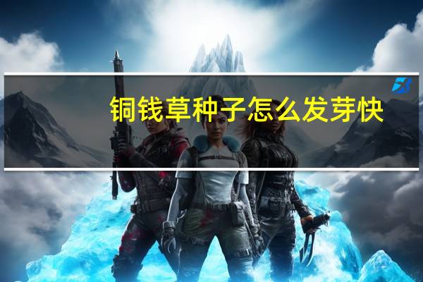 铜钱草种子怎么发芽快