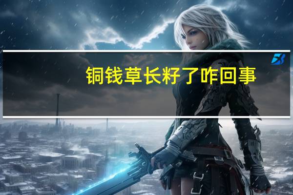 铜钱草长籽了咋回事