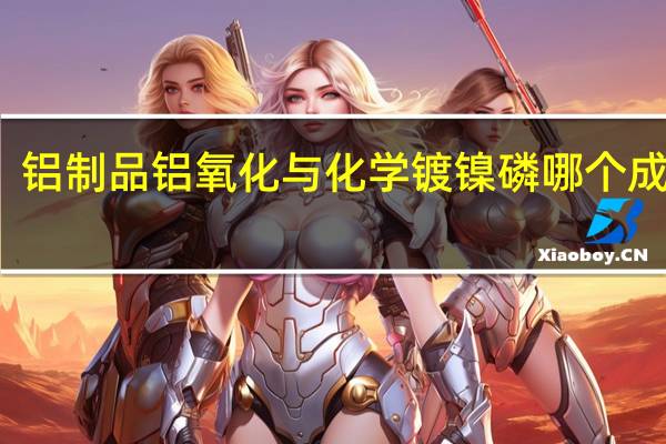 铝制品铝氧化与化学镀镍磷哪个成本高